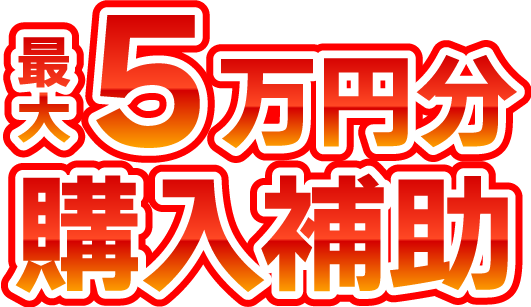 最大5万円分 購入補助